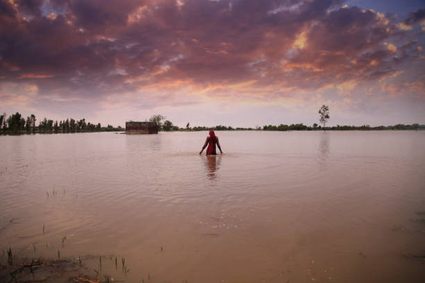 alluvione nel campo agricolo durante la stagione delle piogge - developing countries immagine foto e immagini stock