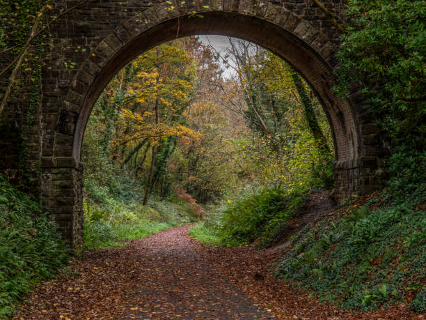 istock Single arch old bridge on the Tarka Trail in north Devon. Autumn. 1389163877