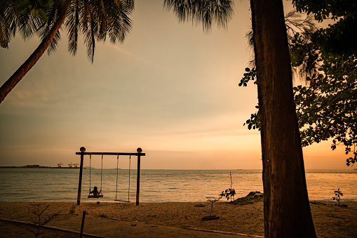 Swing in the Piratininga lagoon