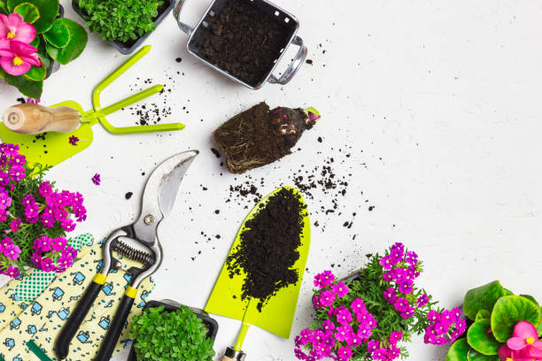 istock Garden tools and spring flowers on a white table 1389167492