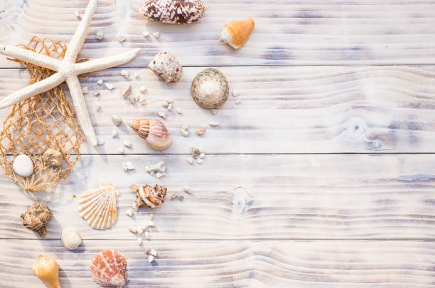 istock Starfish with sea shells on white wooden background. 1389167527