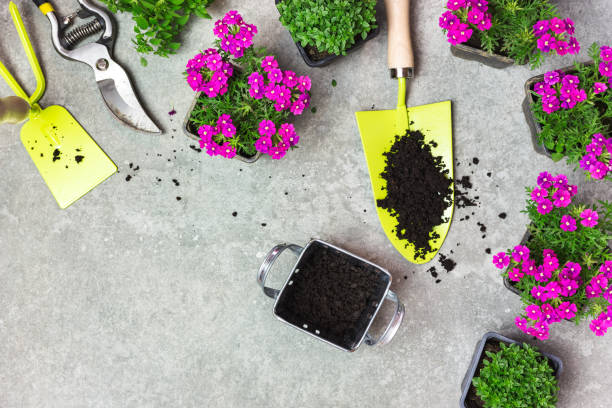 istock Garden tools, soil and pink flowers on a stone table 1389167600