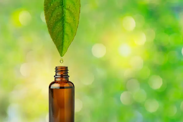 Photo of Essential oil dropoing from leaf to bottle against defocused foliage