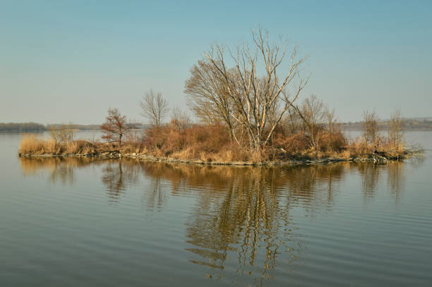 An island with trees and bushes in the lake