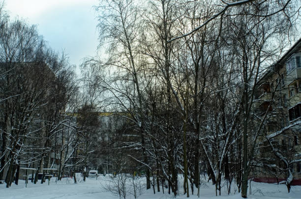 istock snow-covered yard in a residential area 1389175965