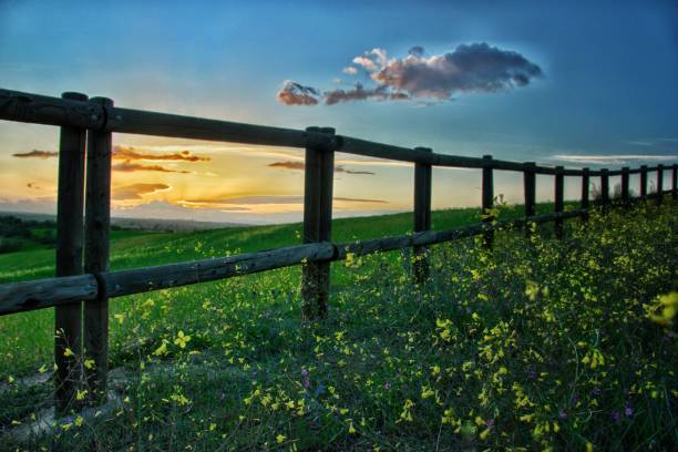 istock Sunset from the fence. 1389177100