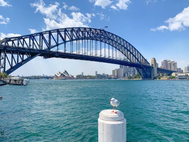 istock Sydney Harbour Bridge in Sydney, NSW, Australia 1389179122