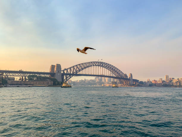 Sydney Harbor Bridge view at dusk, Australia