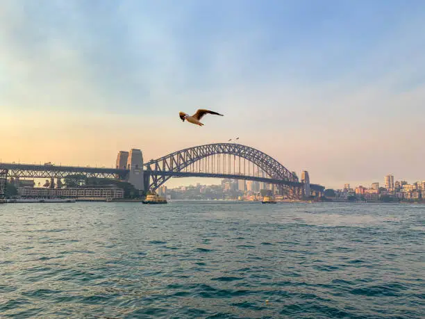 Photo of Sydney Harbor Bridge view at dusk, Australia