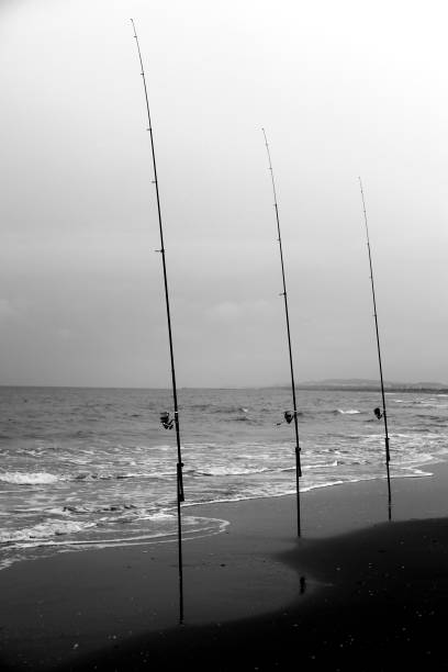 istock Fishing rods on the shore on a cloudy day 1389180014