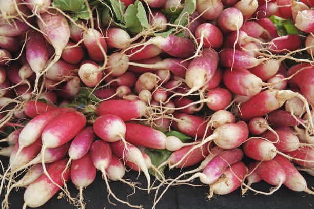 istock Bunch of Radishes 1389181261