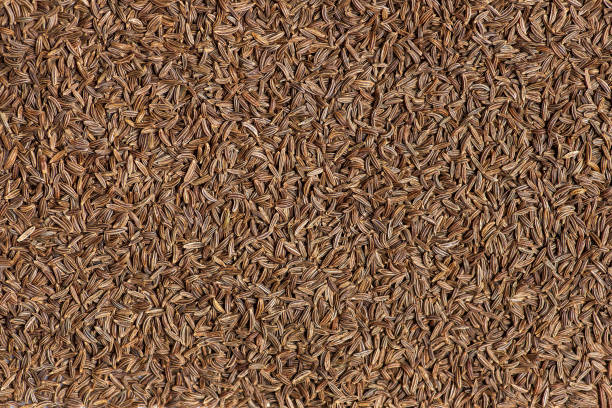 Cumin seeds texture stock photo. full frame background. Popular spice. Top view.