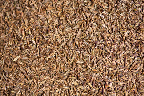 Close up of organic dry roasted fennel seed on a white ceramic plate