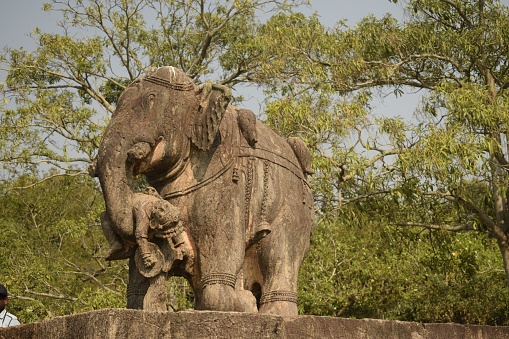 konark, odisha, india - march 17, 2022 : deteriorated statue of elephant carrying human by its trunk, preserved inside sun temple premises