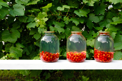 Jars of cooked compote are on the table on a natural background of leaves. Preparation and preservation of fruits and berries. Food canning