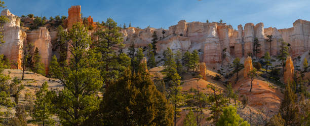 Mossy Cave Sunrise Panorama Bryce Canyon Utah