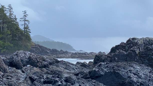 istock Rocky British Columbia Coastline 1389197050
