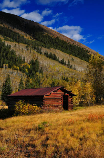 kuvapankkikuvat ja rojaltivapaat kuvat aiheesta alkusyksy ashcroftin aavekaupungissa - aspen tree