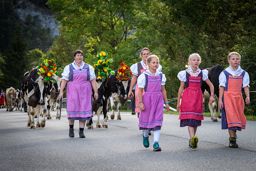 Charmey, Fribourg, Switzerland - 28 September 2019 : Farmers with a herd of cows on the annual transhumance at Charmey near Gruyeres, Fribourg zone on the Swiss alps