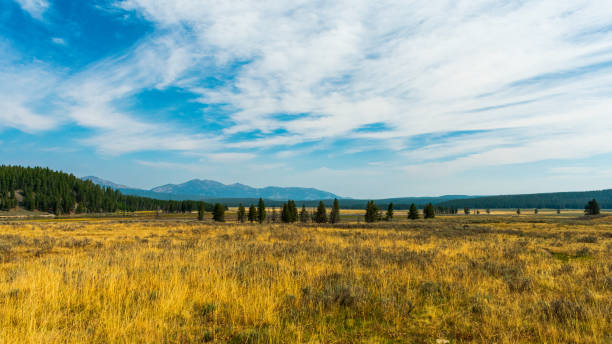 istock Hayden Valley, Yellowstone National Park 1389202603