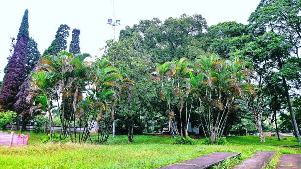istock INDEPENDENCE PARK -  opened in 1989, 1389207871