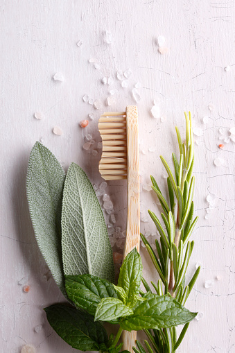 Bamboo toothbrush with sage, mint and rosemary.