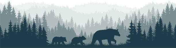 illustrazioni stock, clip art, cartoni animati e icone di tendenza di vettoriale montagne foresta foresta sfondo sfondo texture senza soluzione di continuità modello con famiglia orso nero - bear hunting