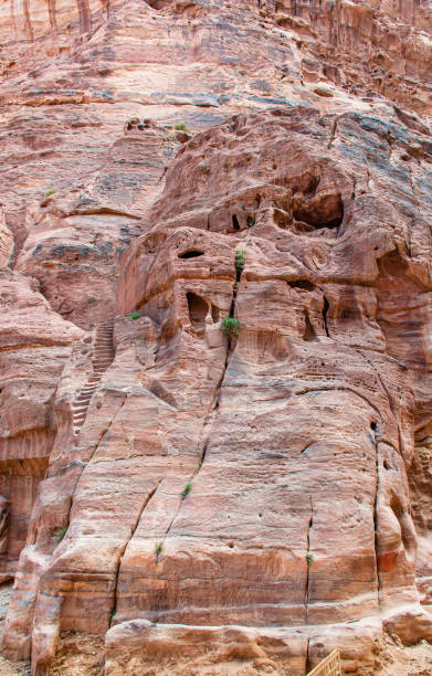 maisons troglodytes de nomades bédouins dans l’ancienne ville de petra en jordanie. - petra ancient civilization jordan cave photos et images de collection