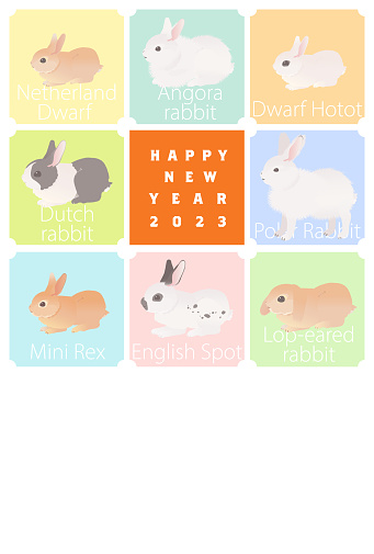 2023 Year Of The Rabbit New Year Greeting Rabbits In The World Vector  Illustration Stock Illustration - Download Image Now - iStock