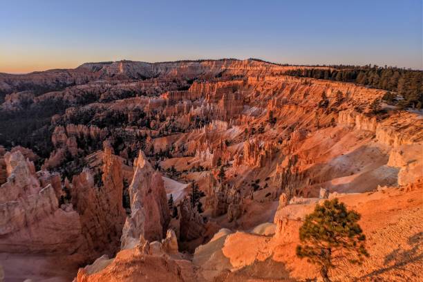 Sunrise Point Sun rising over an expansive otherworldly natural amphitheater filled with crimson-colored spire-shaped rock formations. Bryce Canyon National Park, Utah. sunrise point stock pictures, royalty-free photos & images