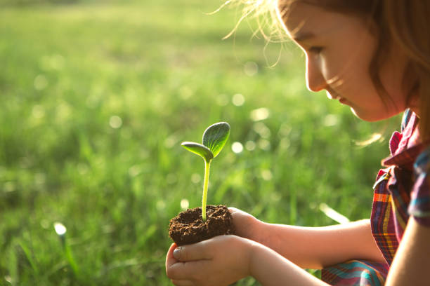Young green sprout in the hands of a child in the light of the sun on a background of green grass. Natural seedlings, eco-friendly, new life, youth. The concept of development, peace, care. Copy space stock photo