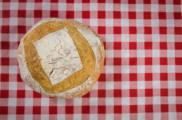 Beautiful Sourdough bread on gray background with dried wheat flower.