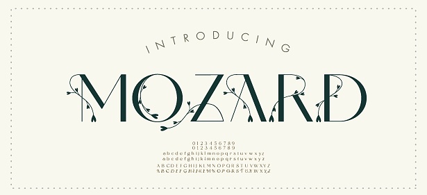 Elegant wedding alphabet letters font and number. Typography Luxury classic lettering serif fonts decorative vintage retro concept. vector illustration