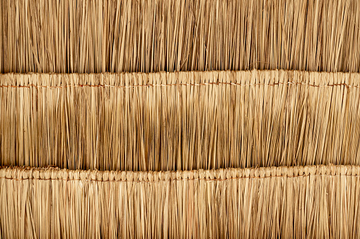 Under view of step dried nipa palm leaf that is used to make a roof.