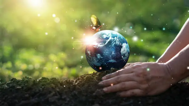 Photo of Earth Day and Environment concept, Hands of human protect blue earth and flying butterfly on green morning background. Save clean planet, Saving environment, Ecology and green nature.