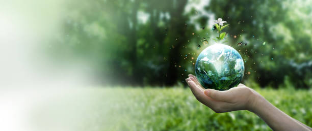 istock Earth Day and Environment concept, Hands protect blue earth and white flower with flying butterfly on green morning background. Save clean planet, Saving environment, Ecology and green nature. 1389240113
