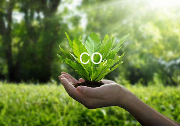 Reduce CO2 emission concept, Sustainable development and green based on renewable can limit climate change and global warming, Ecology, Earth day. Reduce CO2 emission concept, Sustainable development and green based on renewable can limit climate change and global warming, Ecology, Earth day. image based social media stock pictures, royalty-free photos & images