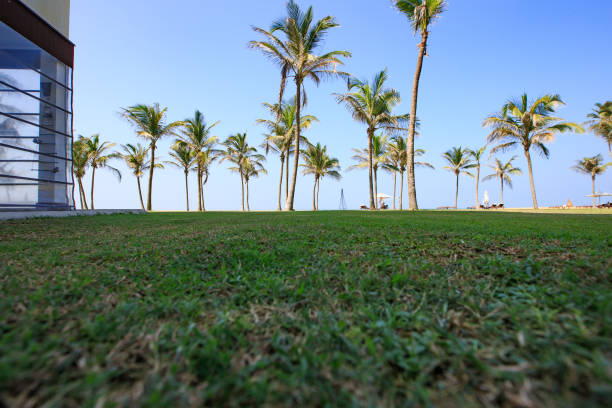 Beach Resort Hotel in Chilaw, Sri Lanka