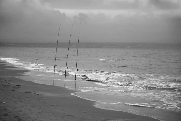 Fishing rods on the shore on a cloudy day on El Pinet Beach in Alicante, Spain