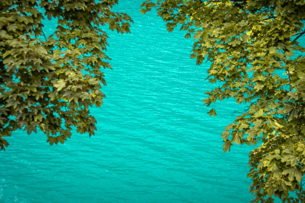 Le Pâquier, a vast public lawn on the edge of Lake Annecy, is flooded by the accumulation of abundant rain (the equivalent of 3 months of rain over the space of a month), allowing you to enjoy these magnificent reflections .