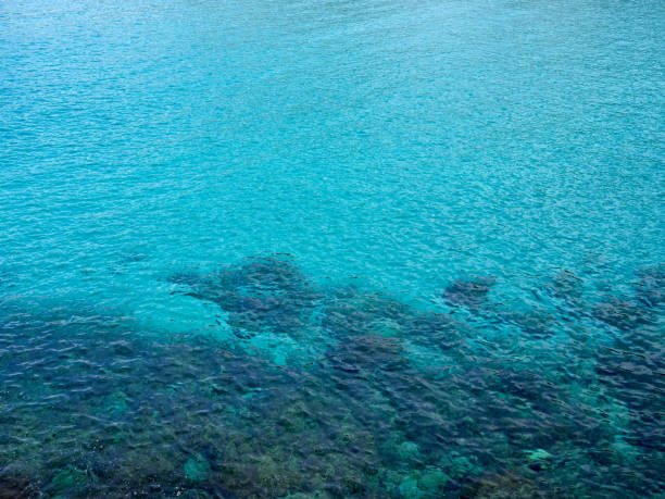 istock Turquoise sea background with copy space 1389265034