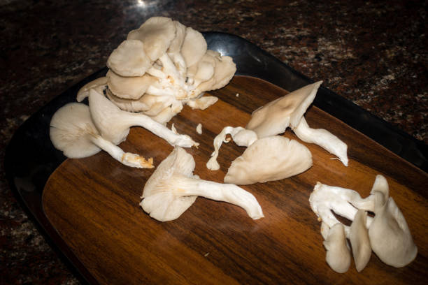 a close up shot of oyster mushrooms. pleurotus ostreatus, the oyster mushroom, oyster fungus, or hiratake, is a common edible mushroom. - mushroom stem cap plate imagens e fotografias de stock