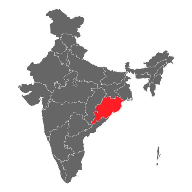 India map graphic, travel geography icon, indian region ODISHA, vector illustration India map graphic, travel geography icon, indian region ODISHA, vector illustration . bhubaneswar stock illustrations