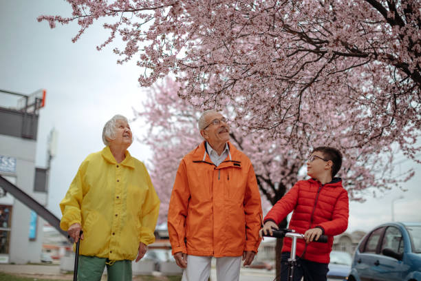istock Old people walking in the spring 1389269160
