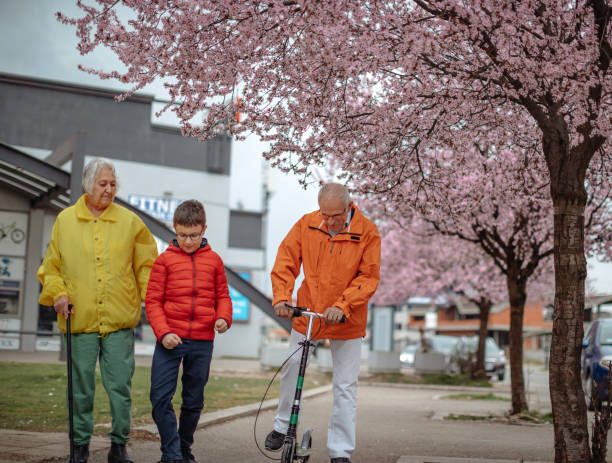 istock Old people walking in the spring with grandson 1389269178