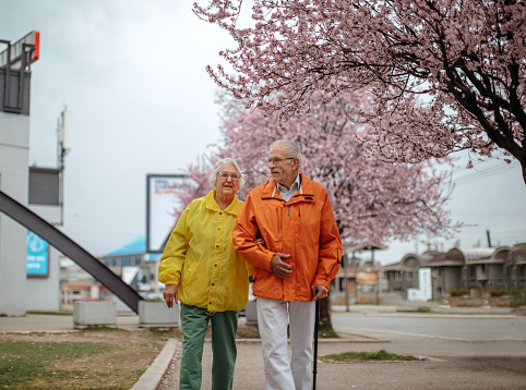 Senior couple enjoying in walk with spring flowers behind