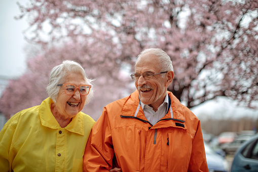 Senior couple enjoying in walk with spring flowers behind
