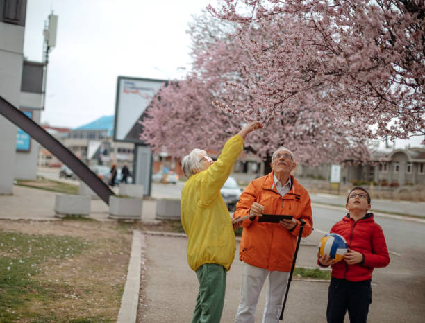 istock Old people walking in the spring holding digital tablets 1389270398