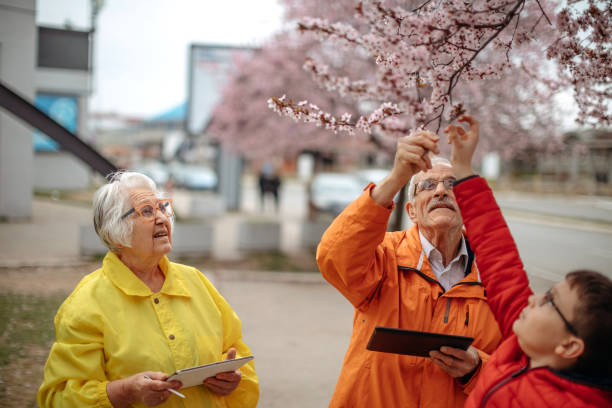 istock Old people walking in the spring holding digital tablets 1389270399
