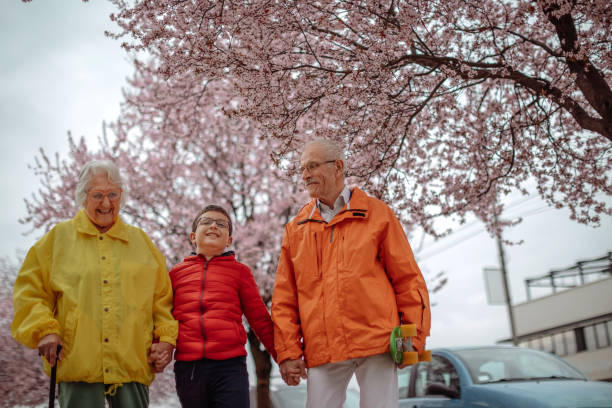 istock Old people walking in the spring with grandson 1389270413